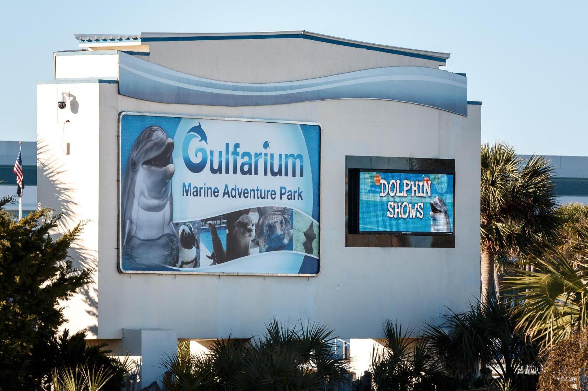 Nautilus Unit 2407 Villa Fort Walton Beach Dış mekan fotoğraf